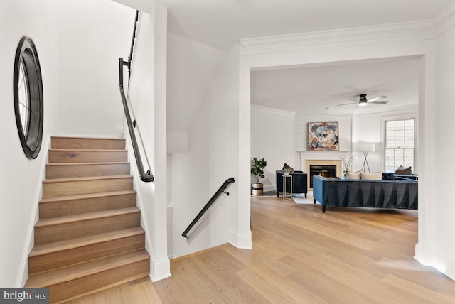 staircase with hardwood / wood-style flooring, ceiling fan, and crown molding