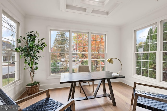 home office featuring crown molding, a wealth of natural light, and light hardwood / wood-style flooring