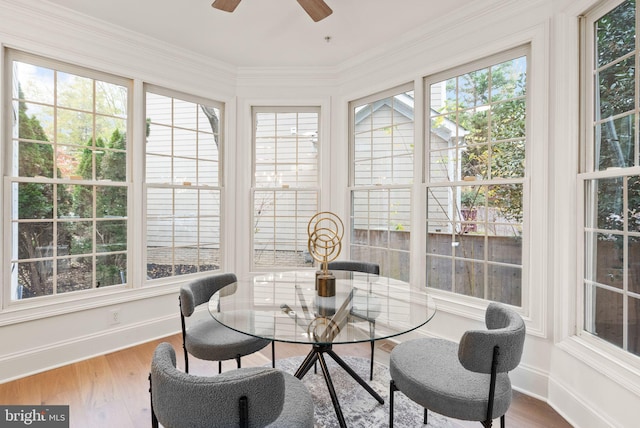 sunroom / solarium featuring ceiling fan