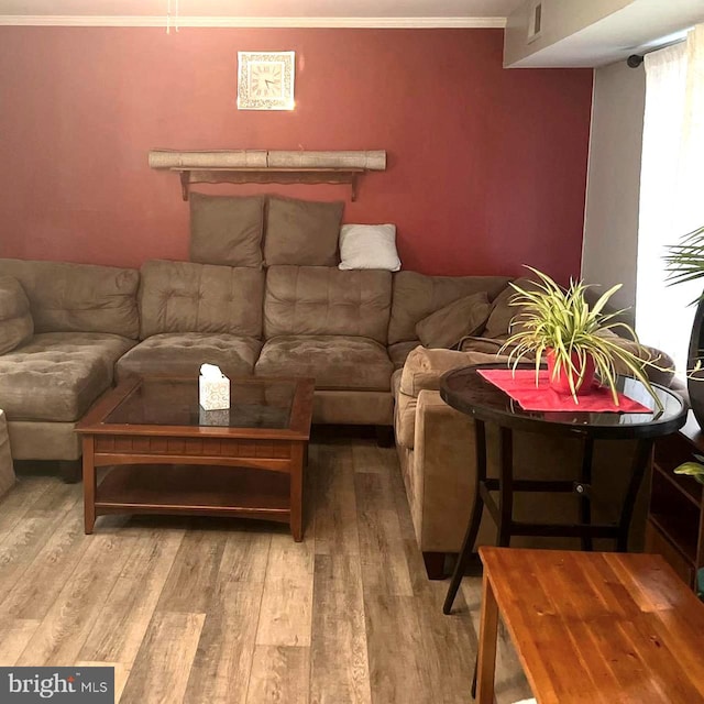 living room with hardwood / wood-style floors and crown molding