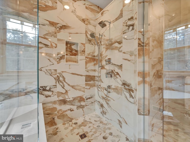 52 Violets Path, Elizabethtown, PA 17022 - full bathroom with a marble finish shower and healthy amount of natural light