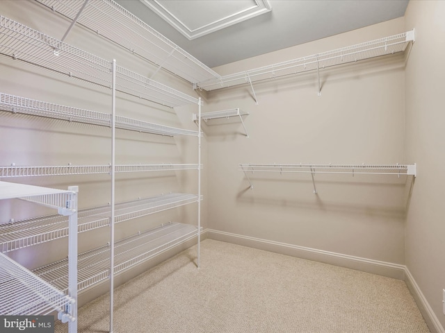 52 Violets Path, Elizabethtown, PA 17022 - walk in closet with carpet