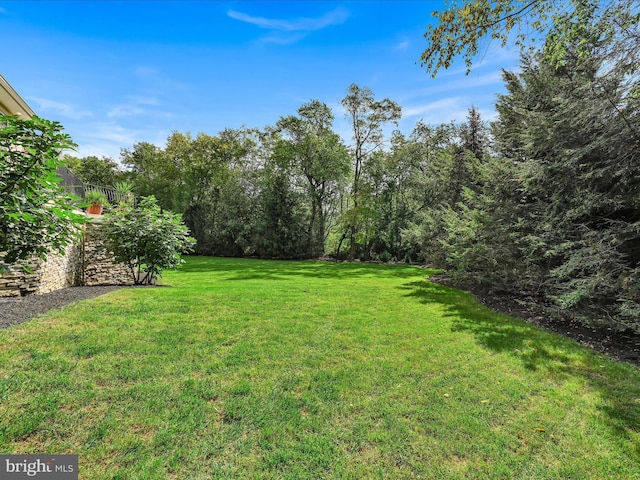 52 Violets Path, Elizabethtown, PA 17022 - view of green lawn