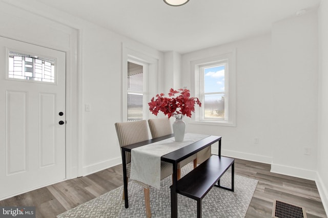 dining room featuring wood-type flooring