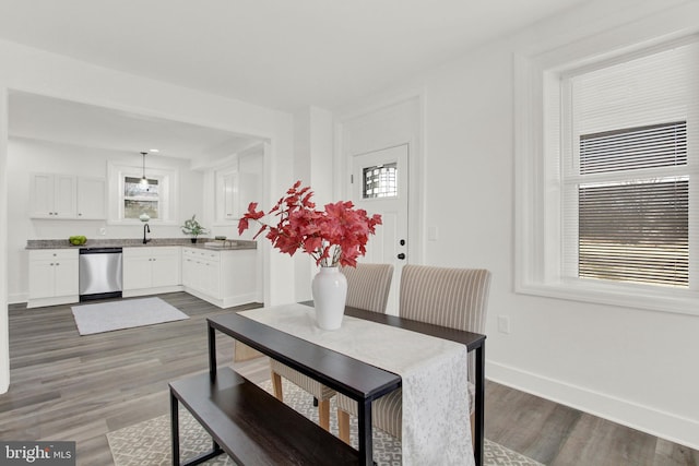 dining room with plenty of natural light and dark wood-type flooring