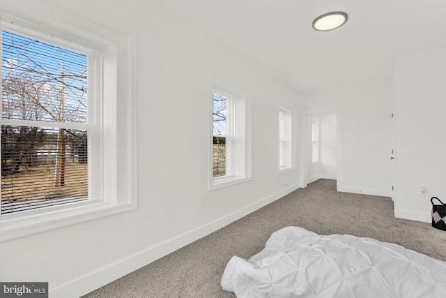 bedroom with carpet flooring