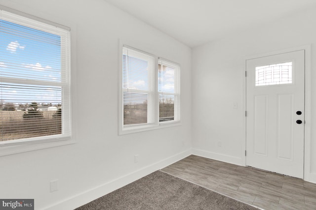 foyer with hardwood / wood-style floors