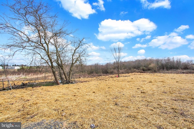 view of yard with a rural view