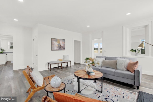 living room featuring hardwood / wood-style floors