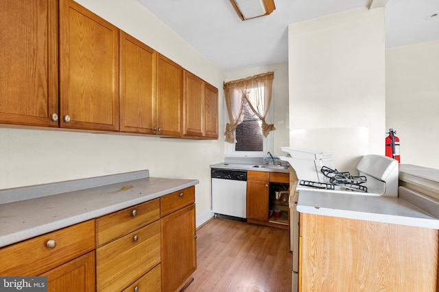 kitchen featuring dishwasher, light hardwood / wood-style floors, and sink