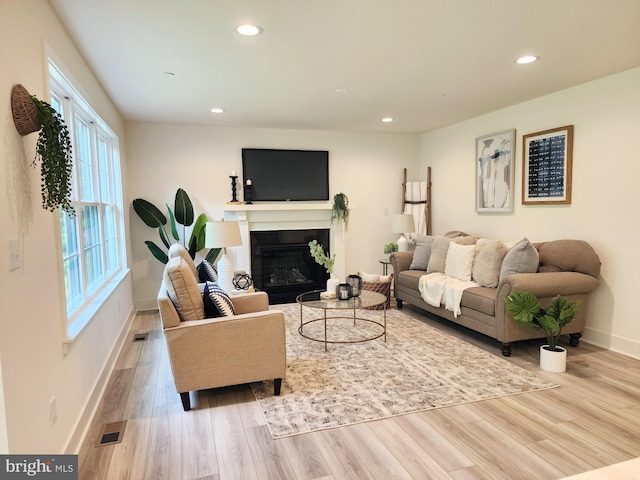 living room with light hardwood / wood-style flooring