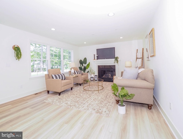 living room featuring light wood-type flooring