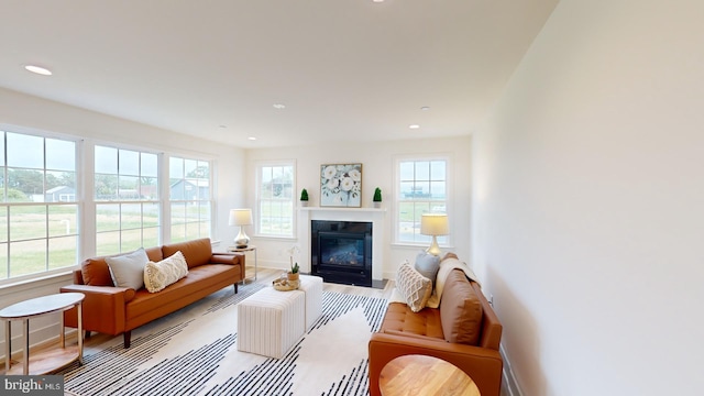 living room featuring hardwood / wood-style flooring