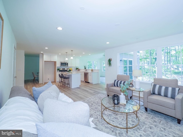 living room with light hardwood / wood-style floors