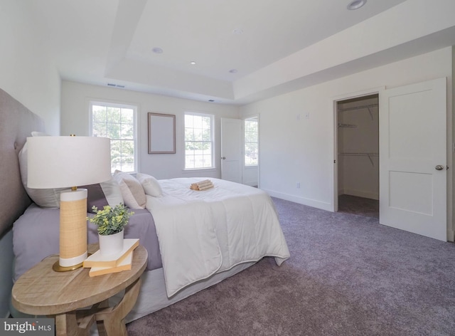 carpeted bedroom with a spacious closet, a tray ceiling, and a closet