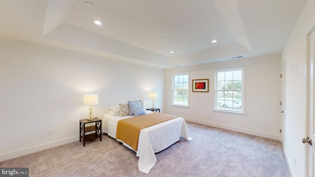 carpeted bedroom with a tray ceiling