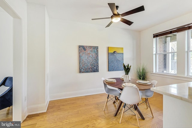 dining space featuring ceiling fan and light hardwood / wood-style flooring