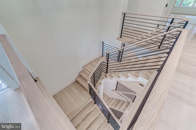 stairway with wood-type flooring