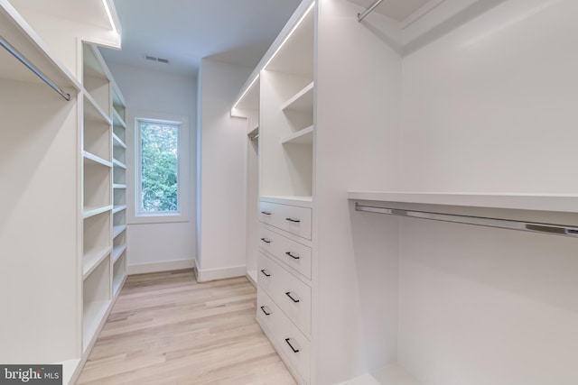 spacious closet featuring light hardwood / wood-style flooring