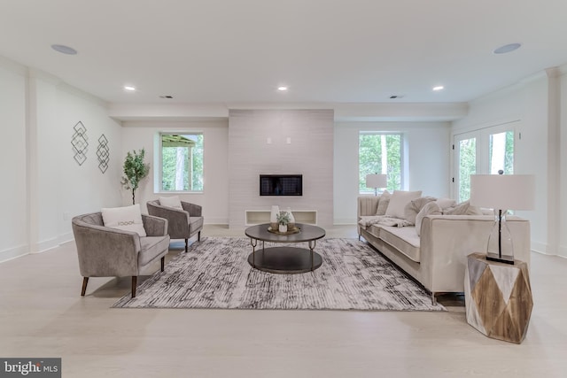 living room featuring a healthy amount of sunlight and a tiled fireplace