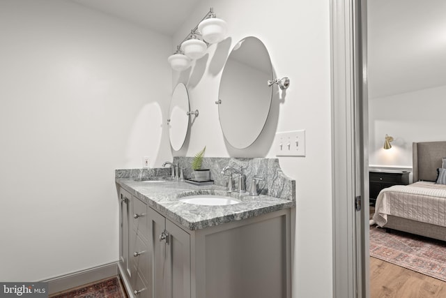 bathroom featuring wood-type flooring and vanity