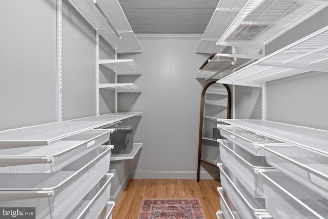 walk in closet with light wood-type flooring