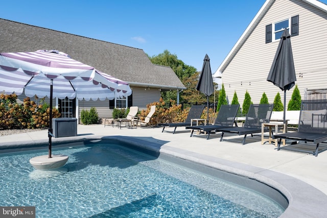 view of pool with a patio area