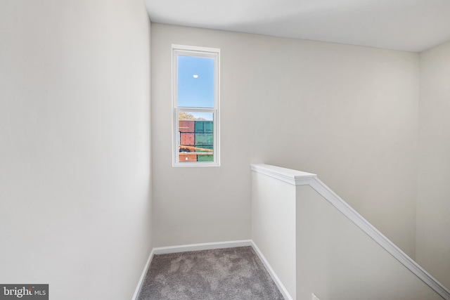 hallway featuring carpet floors