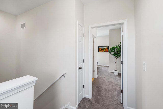 hallway featuring carpet