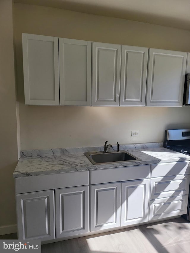 clothes washing area featuring light hardwood / wood-style flooring and sink