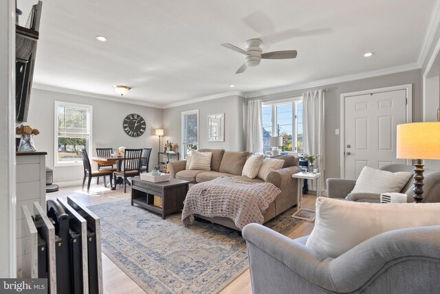 living room with ceiling fan, light wood-type flooring, and ornamental molding