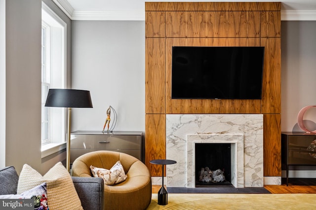 interior space featuring a premium fireplace and crown molding