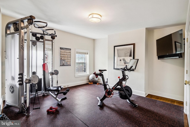 workout room featuring dark hardwood / wood-style flooring