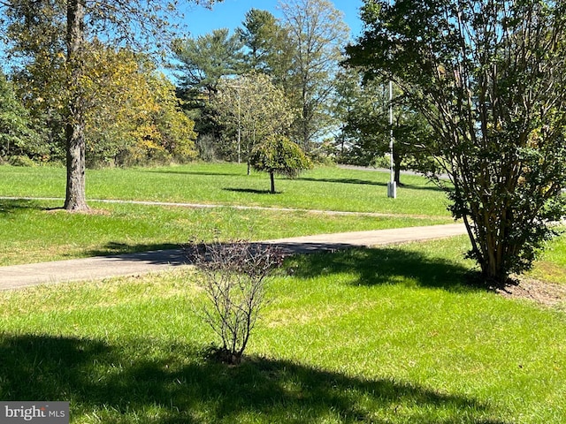 view of community with a yard