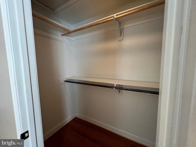 walk in closet featuring dark hardwood / wood-style floors