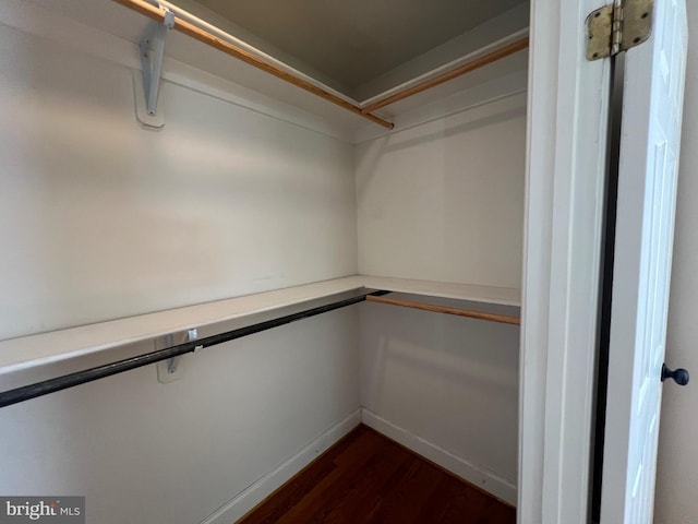 spacious closet featuring dark hardwood / wood-style flooring