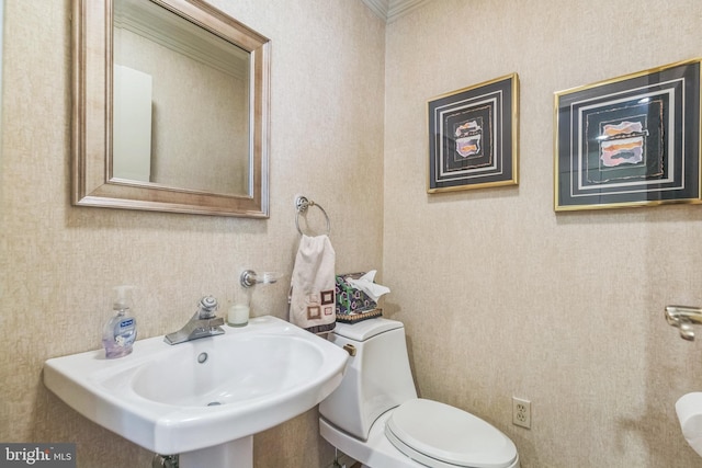 bathroom featuring sink and toilet