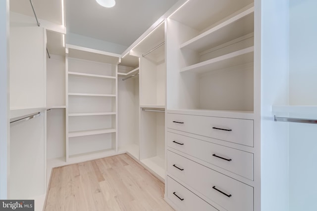 walk in closet with light hardwood / wood-style flooring