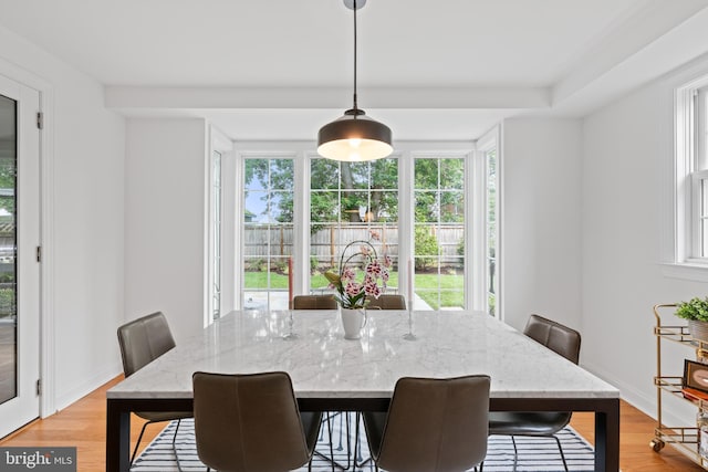 1307 Cleveland St, Alexandria, VA 22302 - dining room with plenty of natural light and light wood finished floors