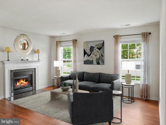 living room featuring wood-type flooring, a premium fireplace, and a wealth of natural light