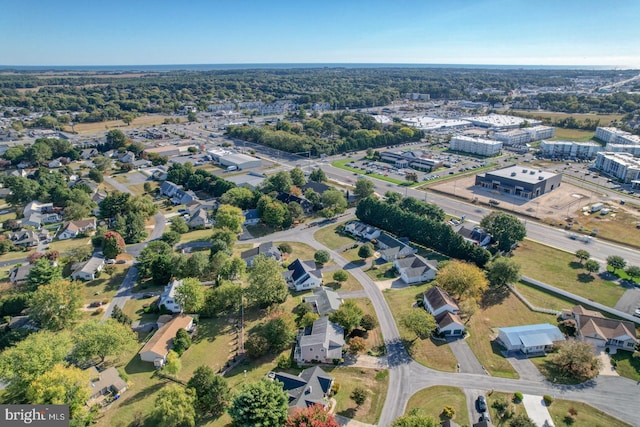 bird's eye view