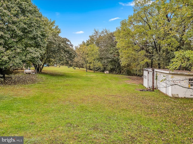 view of yard featuring a storage unit