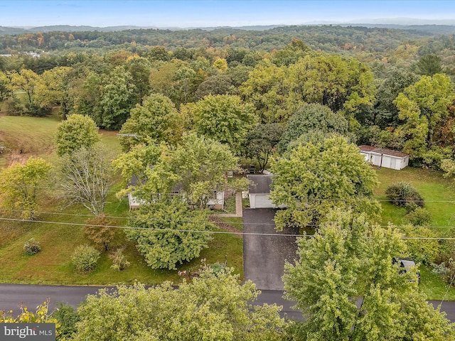 bird's eye view