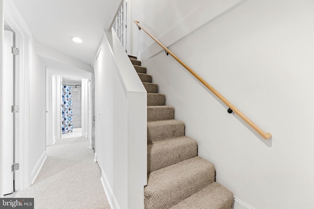 stairway featuring carpet floors