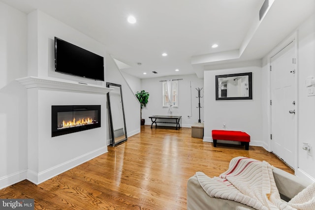 living room featuring wood-type flooring