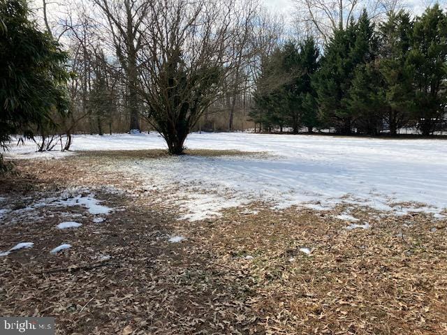 view of snowy yard