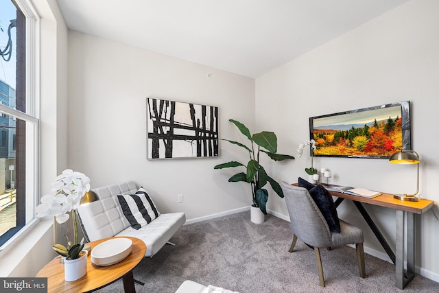 home office with carpet floors