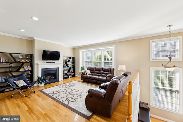 living room with wood-type flooring and crown molding