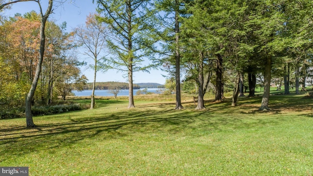 view of yard with a water view