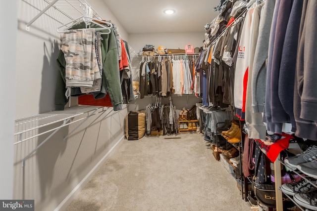 walk in closet featuring carpet flooring